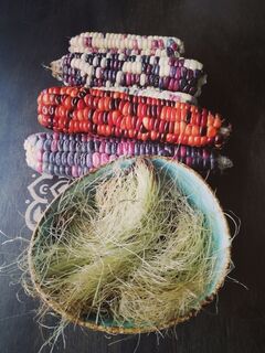 Medicinal Corn Silk