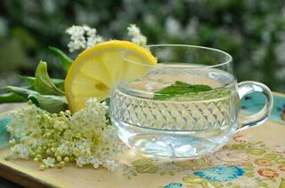 Elderflower Cordial