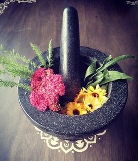 Herbal poultice for bleeding cuts