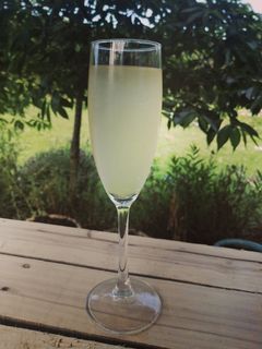 Herb-Infused Sparkling Rhubarb Drink Recipe