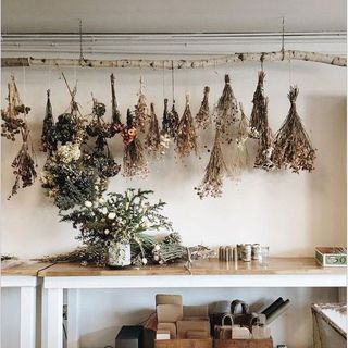 Organic Dried Herbs & Teas | Kailash Herbs