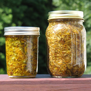 Organic Calendula Oil