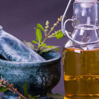 Organic Tulsi Oil