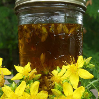Organic St. John's Wort Oil