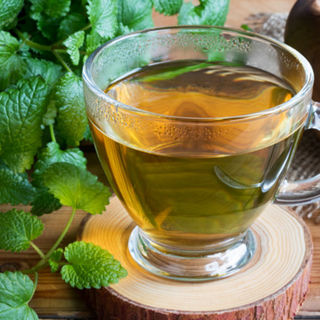 Organic Dried Lemon Balm Tea