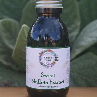 Sweet Mullein Extract
